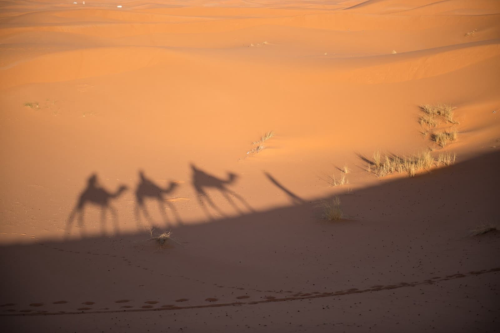 Camel caravan shadows on the dunes of Erg Chebbi