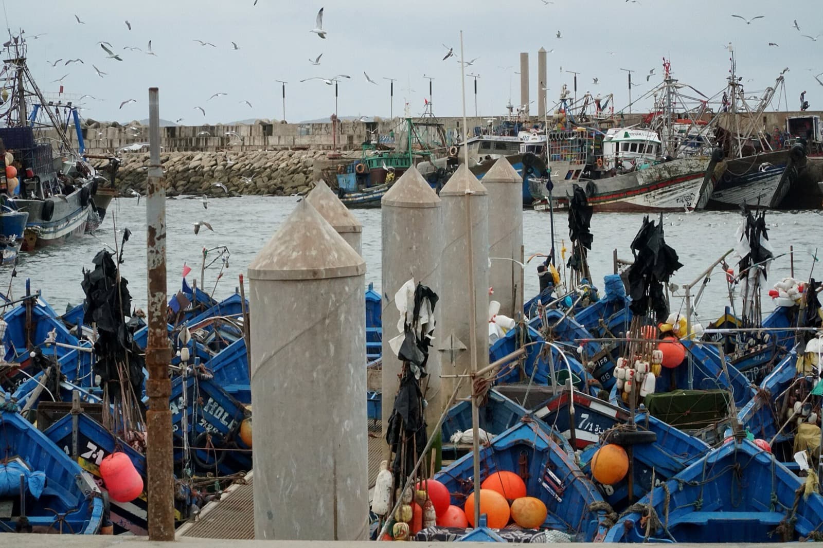 Blue fishing boats in the port of Essaouira