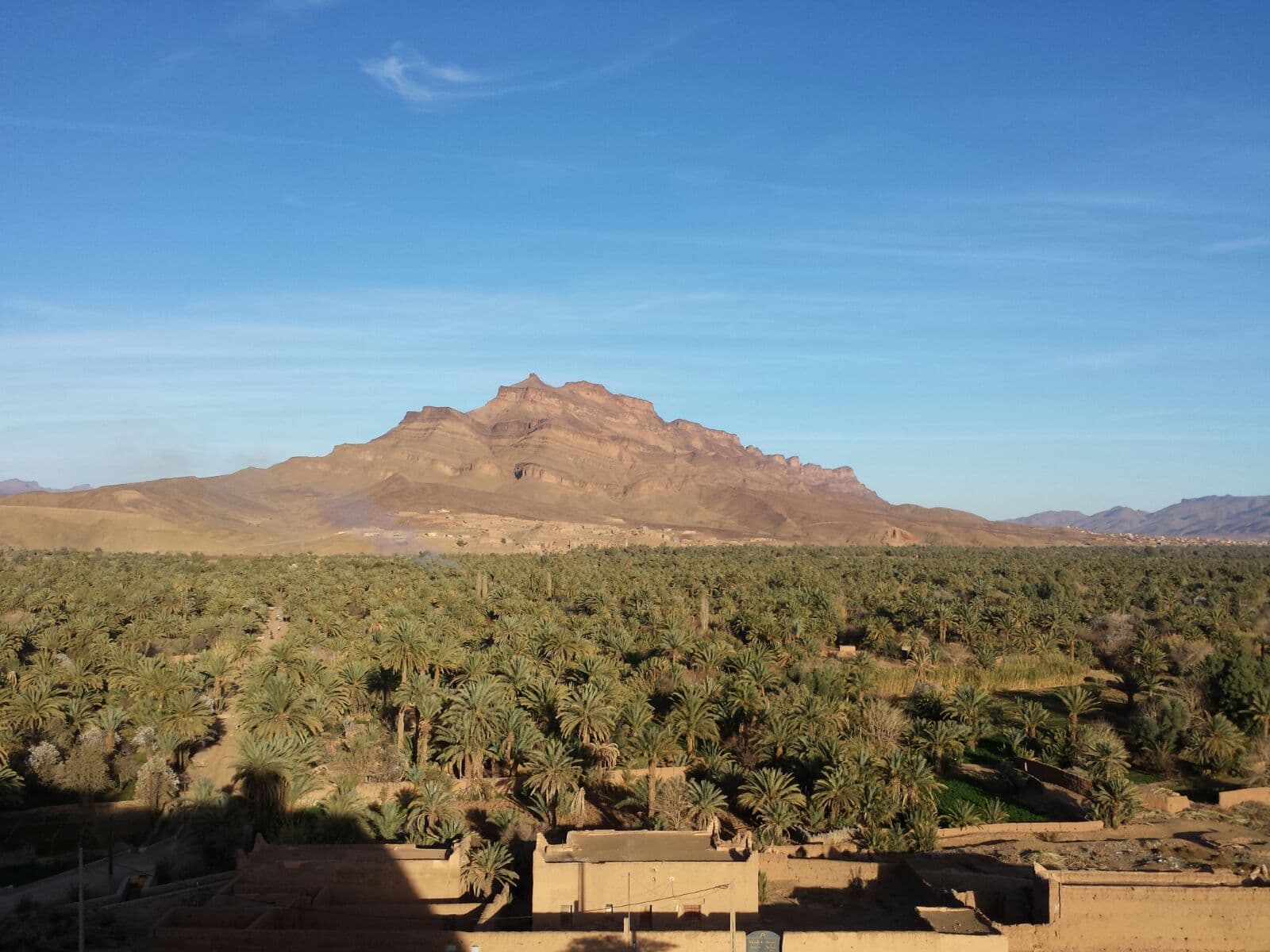 Palm groves of the Draa valley near Zagora